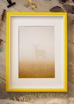 Ramme Diana Gul 50x60 cm - Passepartout Hvid 40x50 cm