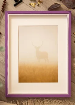 Ramme Diana Lilla 20x25 cm - Passepartout Hvid 5x7 inches