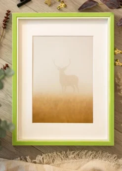 Ramme Diana Lysegrøn 50x70 cm - Passepartout Hvid 42x59,4 cm