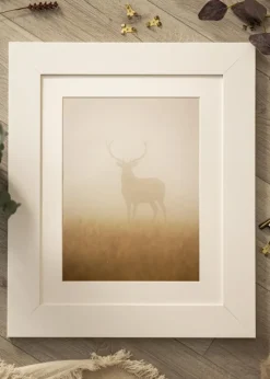 Ramme Dover Hvid - Valgfri Størrelse (Akrylglas)