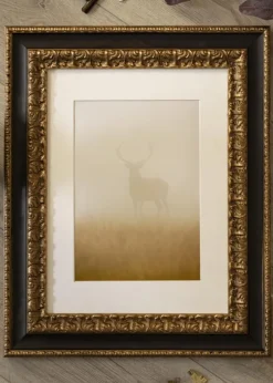 Ramme Drottningholm Guld - Valgfri Størrelse (Plexiglas)