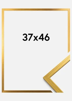 Ramme Edsbyn Akrylglas Guld 37x46 cm