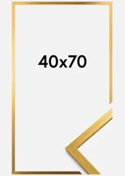 Ramme Edsbyn Akrylglas Guld 40x70 cm