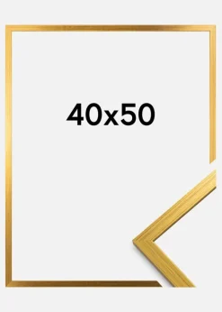 Ramme Edsbyn Akrylglas Guld 40x50 cm