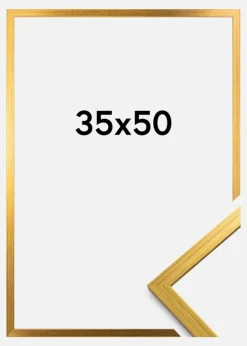 Ramme Edsbyn Akrylglas Guld 35x50 cm