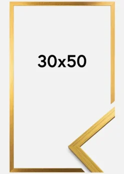 Ramme Edsbyn Akrylglas Guld 30x50 cm