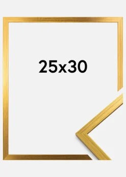 Ramme Edsbyn Akrylglas Guld 25x30 cm
