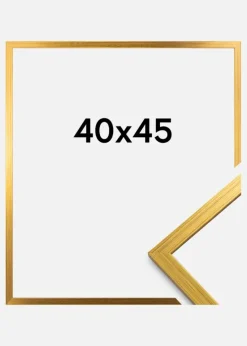 Ramme Edsbyn Akrylglas Guld 40x45 cm