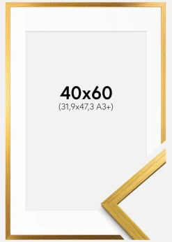 Ramme Edsbyn Guld 40x60 cm - Passepartout Hvid 32,9x48,3 cm (A3+)