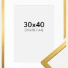 Ramme Edsbyn Guld 30x40 cm - Passepartout Hvid 21x29,7 cm (A4)