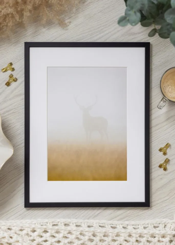 Ramme Edsbyn Sort 35x50 cm - Passepartout Hvid 11x17 inches