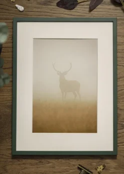 Ramme E-Line Grøn 50x70 cm - Passepartout Hvid 42x59,4 cm (A2)