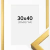 Ramme Falun Guld 30x40 cm - Passepartout Hvid 21x29,7 cm (A4)