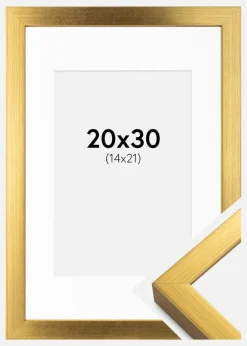 Ramme Falun Guld 20x30 cm - Passepartout Hvid 15x22 cm