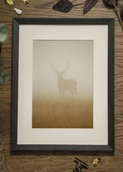 Ramme Fiorito Mørkegrå 50x70 cm - Passepartout Hvid 33x56 cm