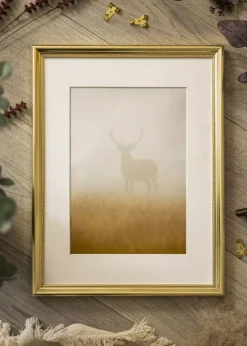 Ramme Gala Guld 50x70 cm - Passepartout Hvid 16x23 inches