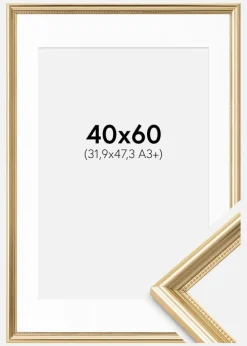 Ramme Gala Guld 40x60 cm - Passepartout Hvid 32,9x48,3 cm (A3+)