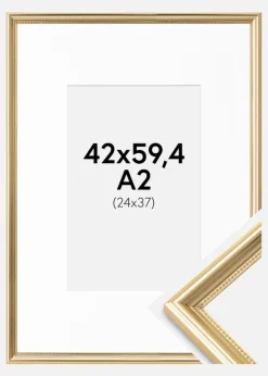 Ramme Gala Guld 42x59,4 cm (A2) - Passepartout Hvid 25x38 cm
