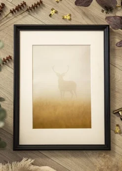 Ramme Gala Sort 40x50 cm - Passepartout Hvid 31,5x40 cm