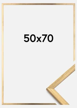 Ramme Galant Akrylglas Guld 50x70 cm