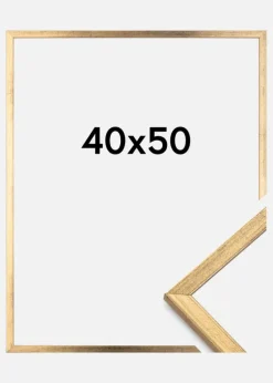 Ramme Galant Akrylglas Guld 40x50 cm