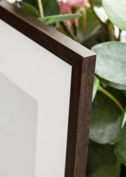 Ramme Galant Valnød - Valgfri Størrelse (Akrylglas)