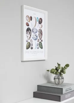 Ramme Globe Hvid 20x30 cm - Passepartout Hvid 10x20 cm