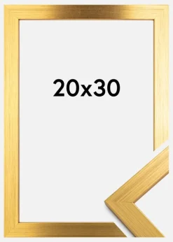 Ramme Gold Wood Akrylglas 20x30 cm