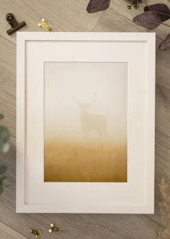 Ramme Gävle Hvid - Valgfri Størrelse (Plexiglas)