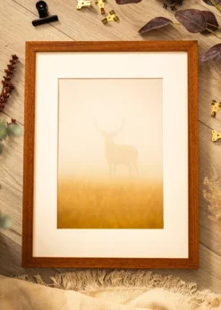 Ramme Hermes Bog 20x25 cm - Passepartout Hvid 5x7 inches