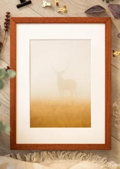 Ramme Hermes Kirsebær 40x50 cm - Passepartout Hvid 27x35 cm