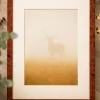 Ramme Hermes valnød 40x50 cm - Passepartout Hvid 11x15 inches