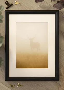 Ramme Högbo Sort - Valgfri Størrelse (Plexiglas)