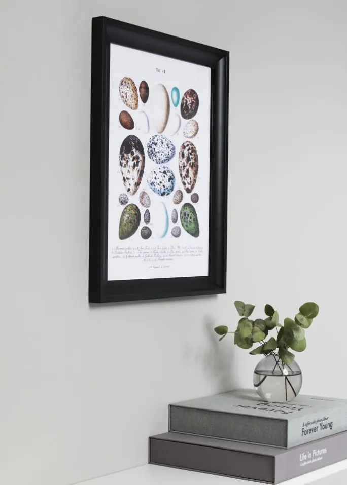 Ramme Öjaren Sort 60x60 cm - Passepartout Hvid 50x50 cm