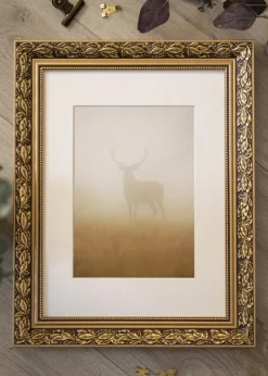 Ramme Jung Guld - Valgfri Størrelse (Plexiglas)