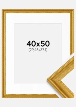 Ramme Lattice Guld 40x50 cm - Passepartout Hvid 12x15 inches