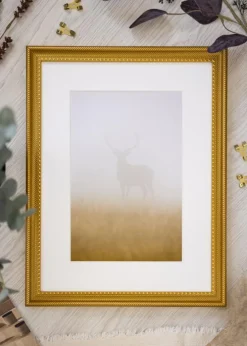 Ramme Lattice Guld 40x60 cm - Passepartout Hvid 25x50 cm