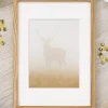 Ramme Massiv Eg 50x70 cm - Passepartout Hvid 33x56 cm