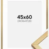 Ramme Minerva Guld 45x60 cm - Passepartout Hvid 14x19 inches