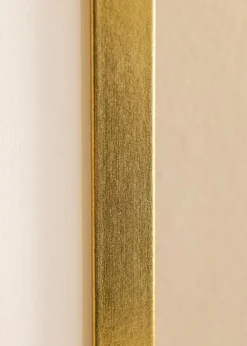 Ramme Minerva Guld 50x60 cm - Passepartout Hvid 38x46 cm
