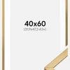 Ramme Minerva Guld 40x60 cm - Passepartout Hvid 32,9x48,3 cm
