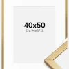 Ramme Minerva Guld 40x50 cm - Passepartout Hvid 11x15 inches