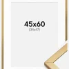 Ramme Minerva Guld 45x60 cm - Passepartout Hvid 35x48 cm