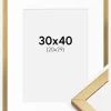 Ramme Minerva Guld 30x40 cm - Passepartout Hvid 21x30 cm