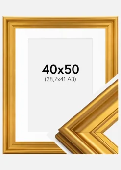 Ramme Mora Premium Guld 40x50 cm - Passepartout Hvid 29,7x42 cm (A3)