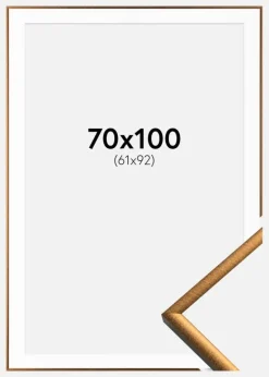 Ramme New Lifestyle Bronze 70x100 cm - Passepartout Hvid 62x93 cm