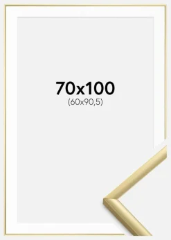 Ramme New Lifestyle Guld 70x100 cm - Passepartout Hvid 61x91,5 cm