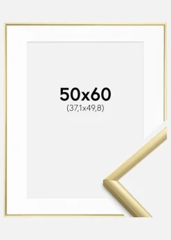 Ramme New Lifestyle Guld 50x60 cm - Passepartout Hvid 15x20 inches