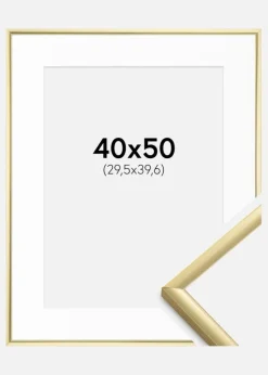 Ramme New Lifestyle Guld 40x50 cm - Passepartout Hvid 12x16 inches