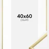 Ramme New Lifestyle Guld 40x60 cm - Passepartout Hvid 25x50 cm